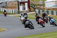 enduro-digital-images;event-digital-images;eventdigitalimages;mallory-park;mallory-park-photographs;mallory-park-trackday;mallory-park-trackday-photographs;no-limits-trackdays;peter-wileman-photography;racing-digital-images;trackday-digital-images;trackday-photos